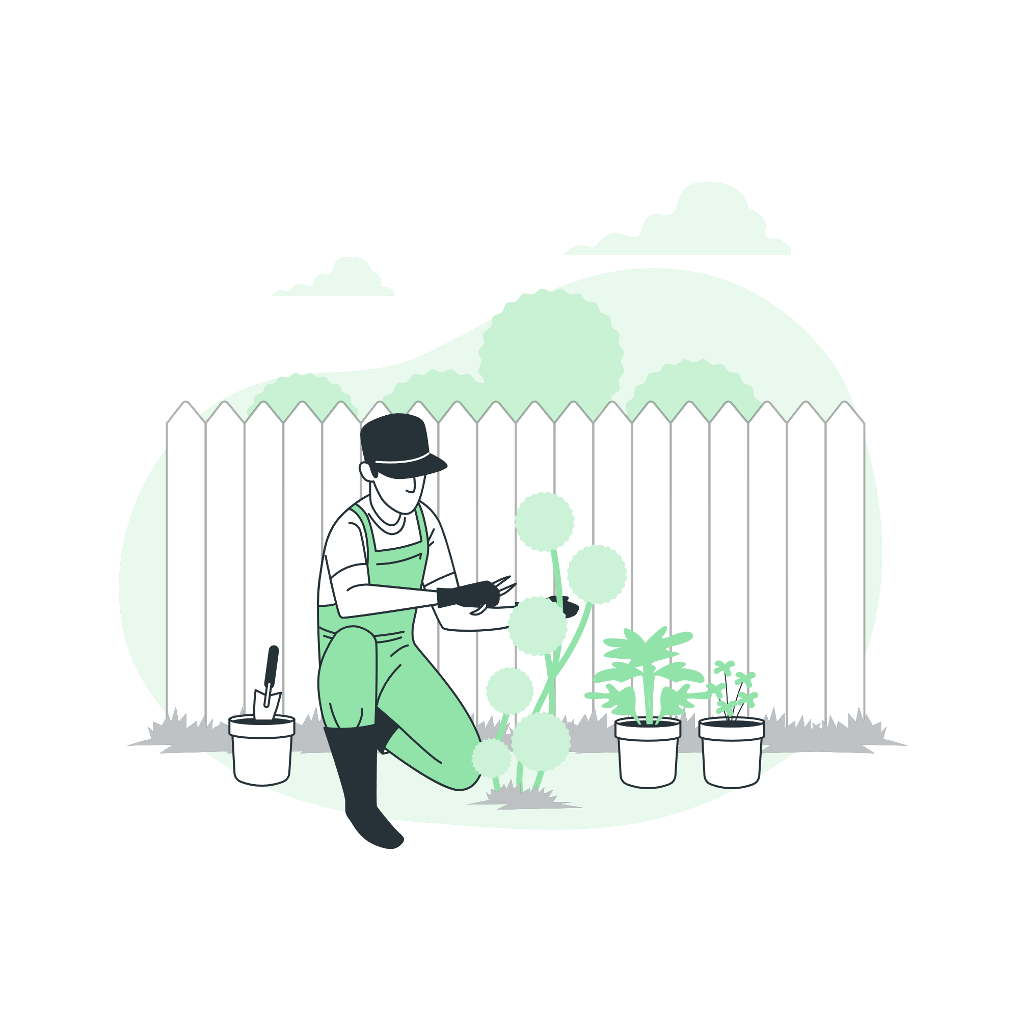 cuidado de plantas